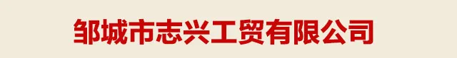 2026年国际足联世界杯